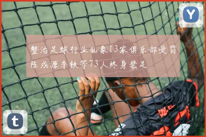 整治足球行业乱象13家俱乐部受罚陈戌源李铁等73人终身禁足